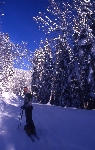 /Ski/2004/Images/1187/File0002Icon.jpg