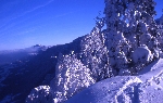 /Ski/2004/Images/1187/File0003Icon.jpg