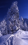 /Ski/2004/Images/1187/File0005Icon.jpg