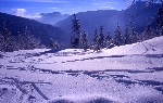 /Ski/2004/Images/1187/File0008Icon.jpg