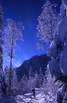 /Ski/2004/Images/1187/File0009Icon.jpg