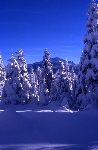 /Ski/2004/Images/1187/File0010Icon.jpg