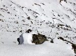 /Ski/2005/Images/1196/Image049Icon.jpg
