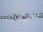/Ski/2005/Images/1202/Image05Icon.JPG