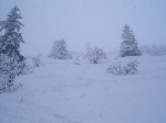 /Ski/2005/Images/1202/Image11Icon.JPG