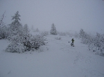 /Ski/2005/Images/1202/Image14Icon.JPG