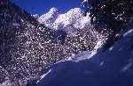 /Ski/2005/Images/1204/File0014Icon.jpg