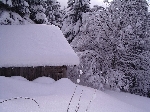 /Ski/2005/Images/1207/Image04Icon.JPG