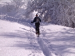/Ski/2005/Images/1207/Image05Icon.JPG