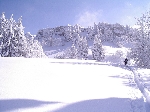 /Ski/2005/Images/1207/Image06Icon.JPG