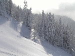 /Ski/2005/Images/1207/Image10Icon.JPG
