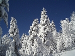 /Ski/2005/Images/1207/Image11Icon.JPG
