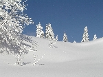 /Ski/2005/Images/1207/Image12Icon.JPG