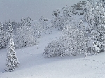 /Ski/2005/Images/1207/Image14Icon.JPG