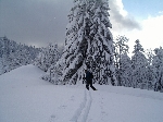 /Ski/2005/Images/1207/Image15Icon.JPG