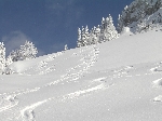 /Ski/2005/Images/1207/Image16Icon.JPG