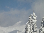 /Ski/2005/Images/1207/Image17Icon.JPG