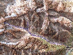 /Ski/2005/Images/1208/Gleysin047Icon.jpg