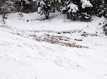 /Ski/2005/Images/1216/Image01Icon.JPG
