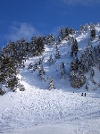 /Ski/2005/Images/1216/Image28Icon.JPG