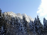 /Ski/2005/Images/1216/Image40Icon.JPG