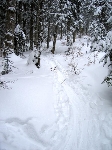 /Ski/2005/Images/1220/Image04Icon.jpg