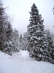 /Ski/2005/Images/1220/Image05Icon.jpg