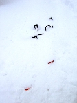 /Ski/2005/Images/1220/Image21Icon.jpg