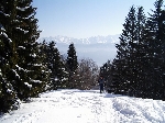 /Ski/2005/Images/1229/Image06Icon.JPG