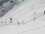 /Ski/2005/Images/1229/Image16Icon.JPG