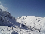 /Ski/2005/Images/1229/Image19Icon.JPG