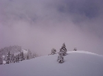 /Ski/2005/Images/1252/Dorfman_44Icon.jpg