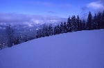 /Ski/2005/Images/1252/File0005Icon.jpg