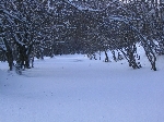 /Ski/2005/Images/1255/PuyFerrand002Icon.JPG