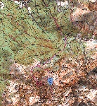 /Ski/2005/Images/1258/Barlet022Icon.jpg