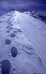 /Ski/2005/Images/1262/File0046Icon.jpg