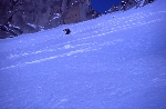 /Ski/2005/Images/1263/File1006Icon.jpg