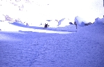 /Ski/2005/Images/1263/File1012Icon.jpg