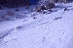 /Ski/2005/Images/1263/File1013Icon.jpg