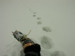 /Ski/2005/Images/1264/ColDesLances03Icon.jpg