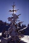 /Ski/2005/Images/1272/File0012720x576MinIcon.jpg
