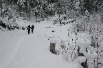 /Ski/2005/Images/1274/IMG_01391000MaxIcon.JPG