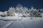 /Ski/2005/Images/1278/IMG_02851000MaxIcon.JPG