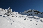 /Ski/2005/Images/1278/IMG_02901000MaxIcon.JPG