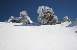 /Ski/2005/Images/1278/IMG_02951000MaxIcon.JPG