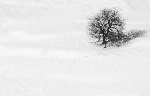 /Ski/2006/Images/1286/GdGalbert001Icon.JPG