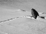 /Ski/2006/Images/1286/GdGalbert003Icon.JPG