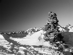 /Ski/2006/Images/1286/GdGalbert006Icon.JPG