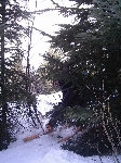/Ski/2006/Images/1306/tabor33Icon.JPG