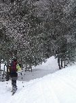 /Ski/2006/Images/1309/parquet01Icon.JPG